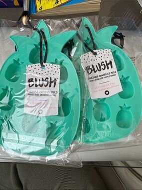 Blush Teal Pineapple Silicone Ice Mold Set